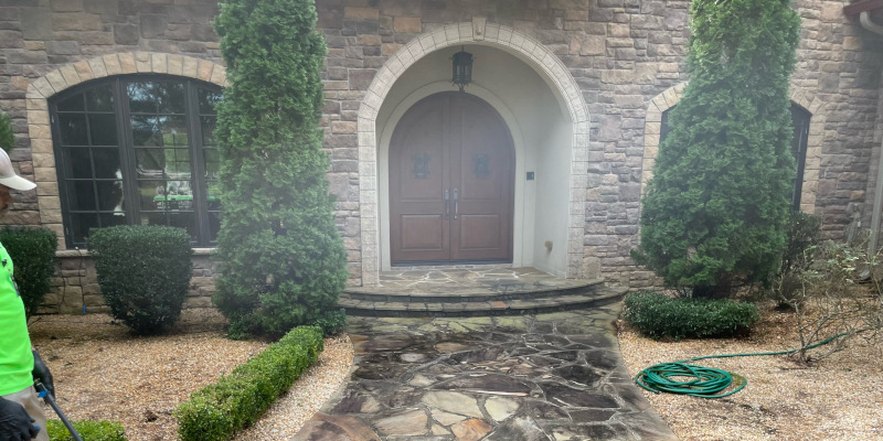 Plant-Safe Exterior Cleaning in Greenville, North Carolina