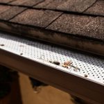 Gutter Cleaning in Greenville, North Carolina